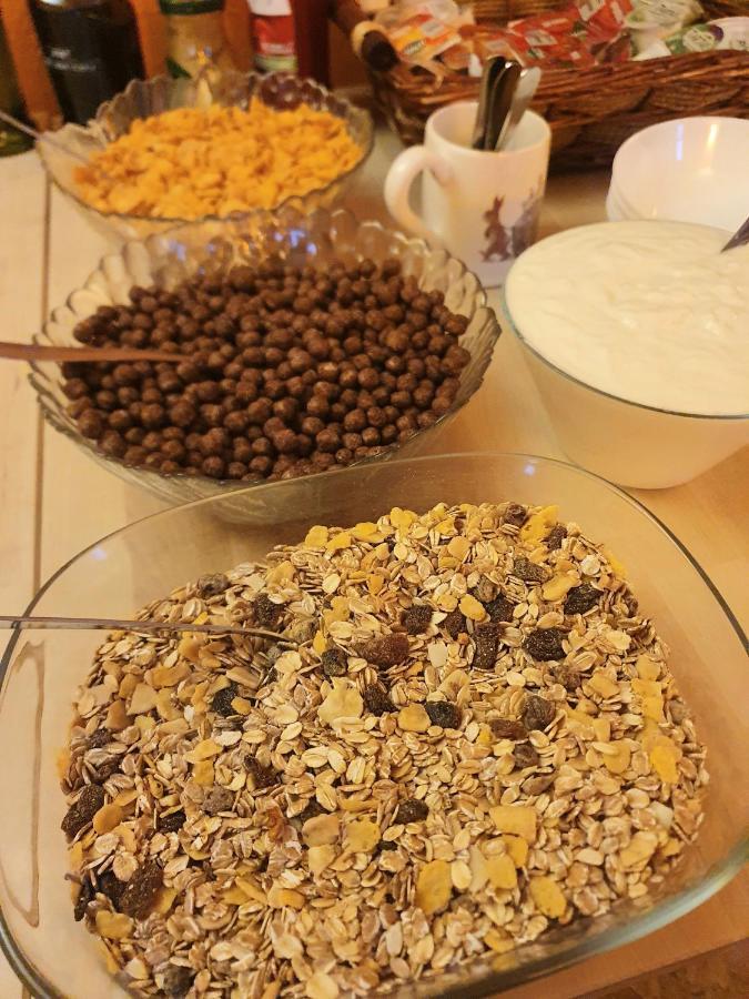 دوشنيكي زدروي Chata Zieleniecka المظهر الخارجي الصورة
