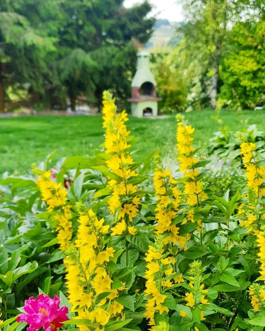 دوشنيكي زدروي Chata Zieleniecka المظهر الخارجي الصورة